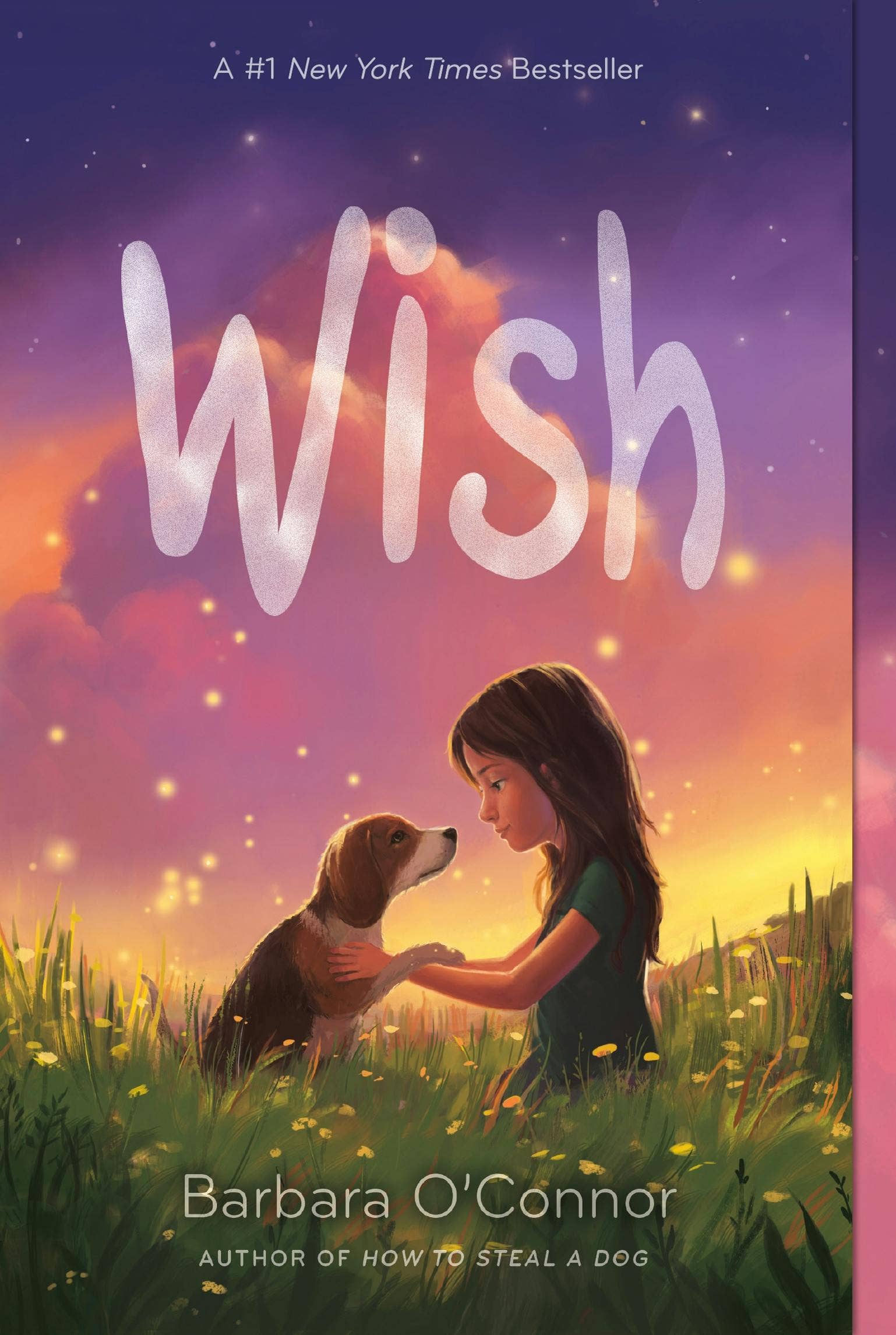 Wish by Barbara O' Connor