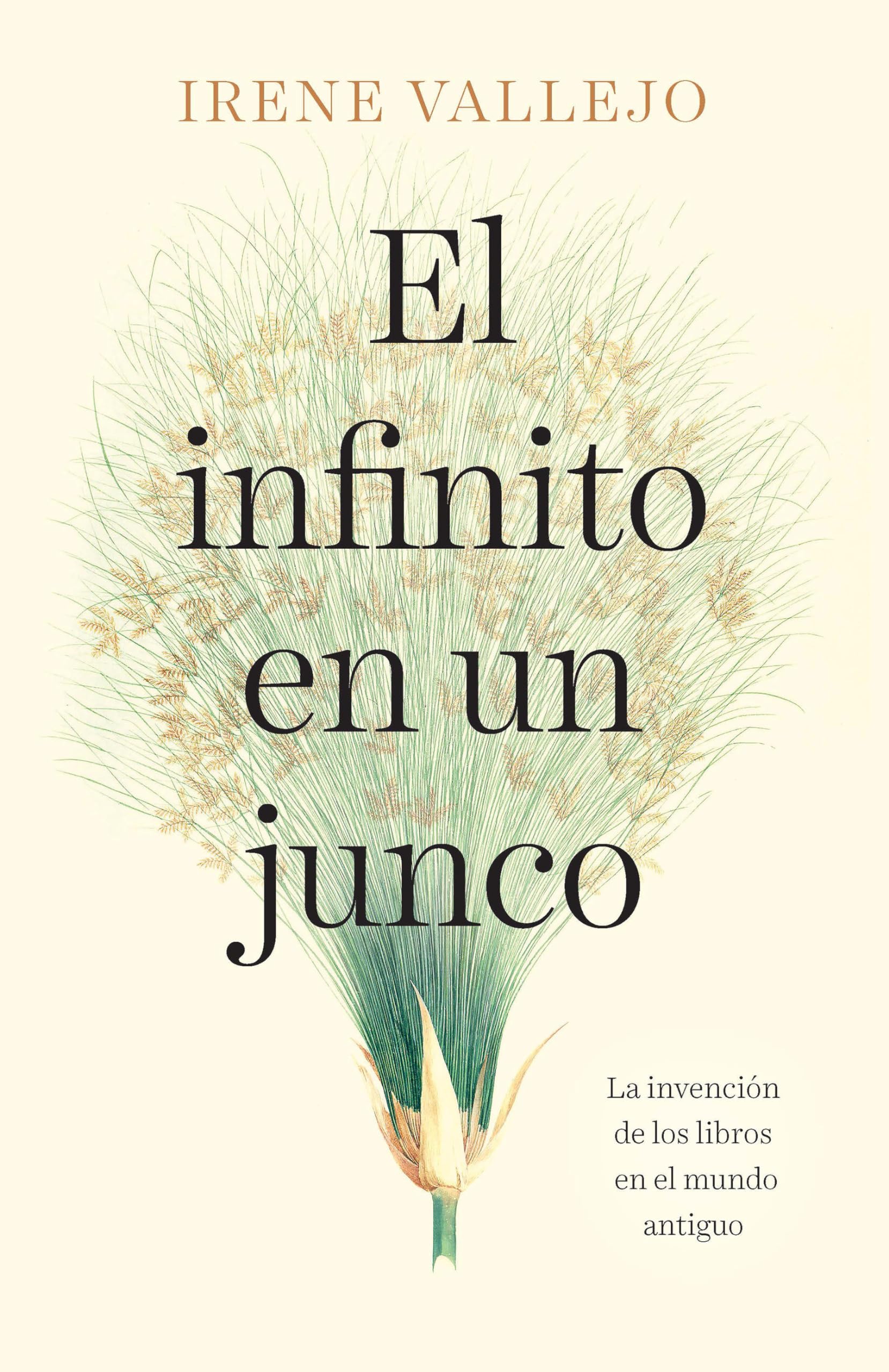 El infinito en un junco by Irene Vallejo