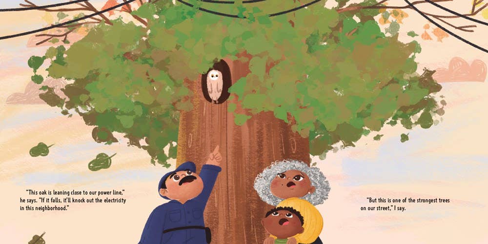 Abuela's Library by  Lissette Norman