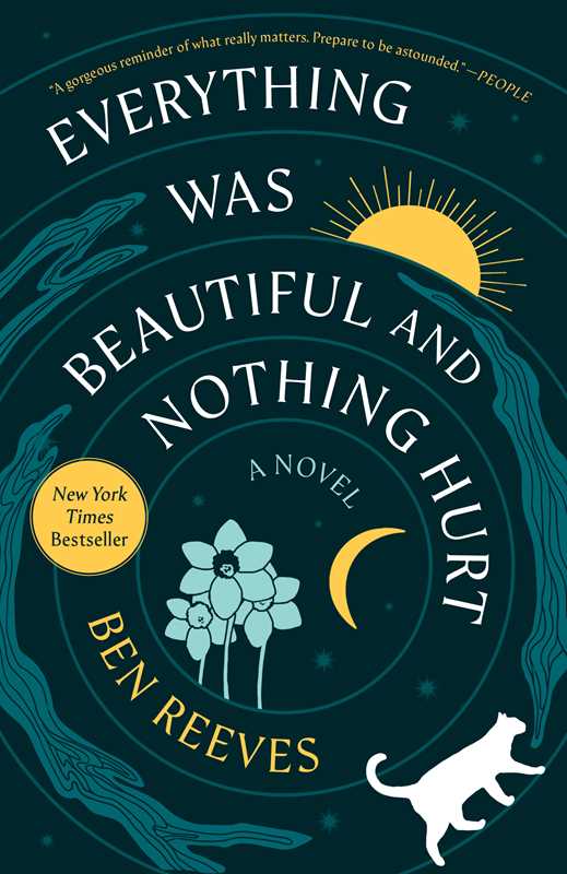 Everything Was Beautiful and Nothing Hurt by Ben Reeves