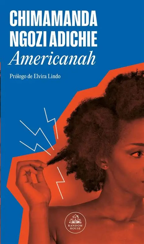 AMERICANAH by Chimamanda Ngozi Adichie