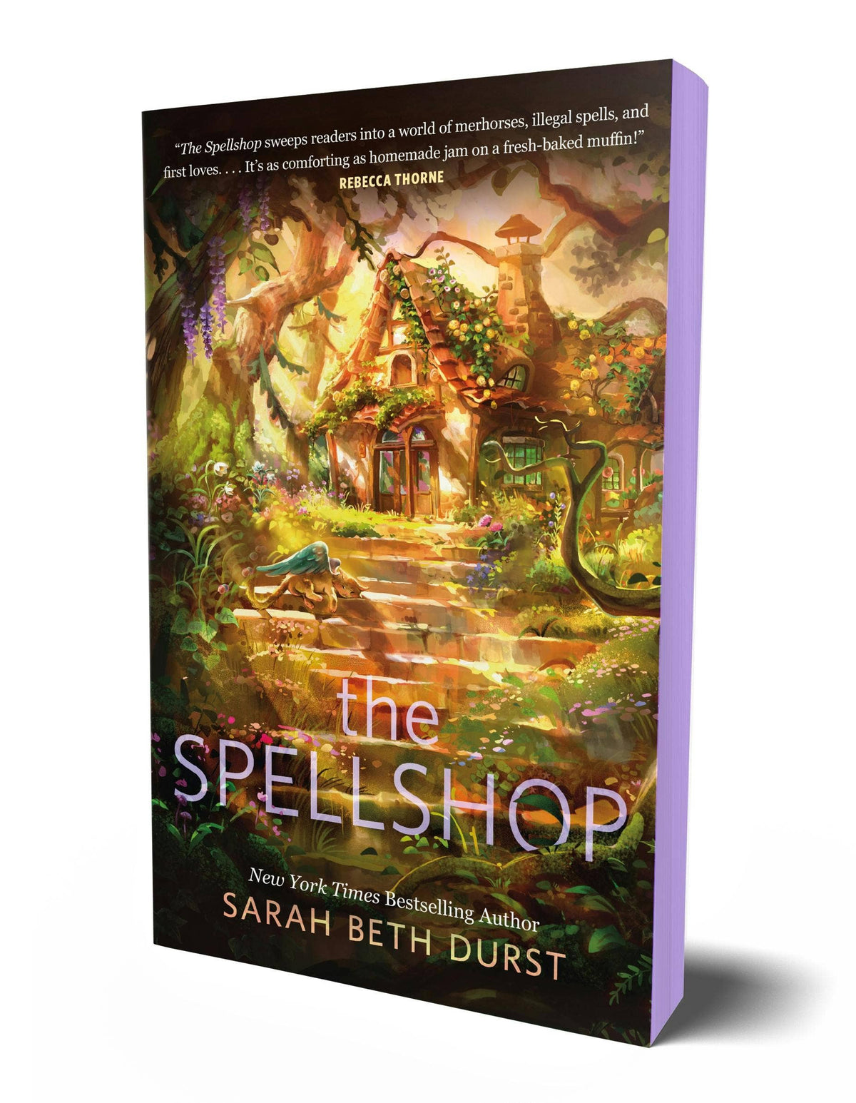 The Spellshop (Spryd Edges) by Sarah Beth Durst